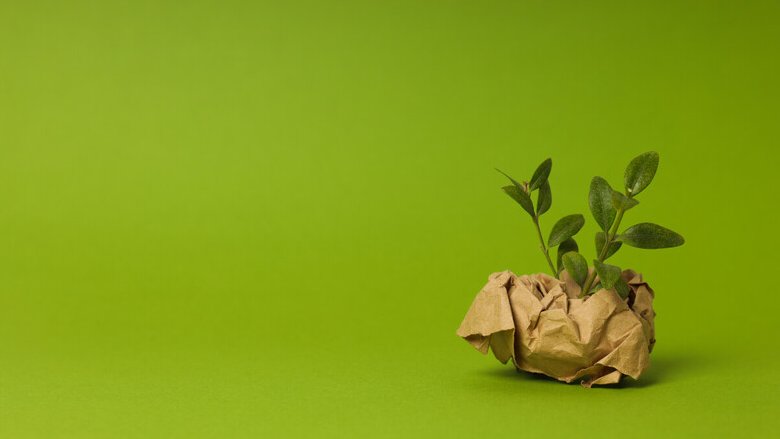 Ecco un BTP Green a cedola ricca e un Green bond sovrano AA a ricca plusvalenza 