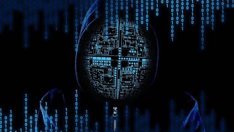 Truffe online, i casi sono stabili in Italia ma i soldi rubati crescono del 17,4%