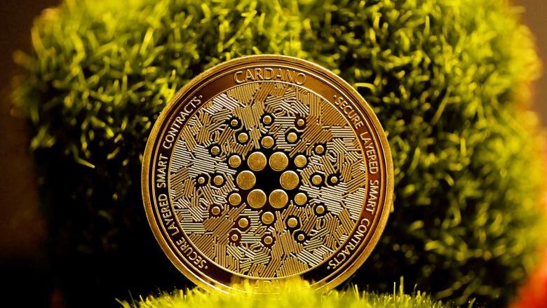 La rinascita di Cardano. ADA salirà ancora?