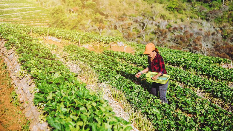 Il problema non è l'Accordo col Mercosur, ma la politica agroalimentare europea che va ribaltata 