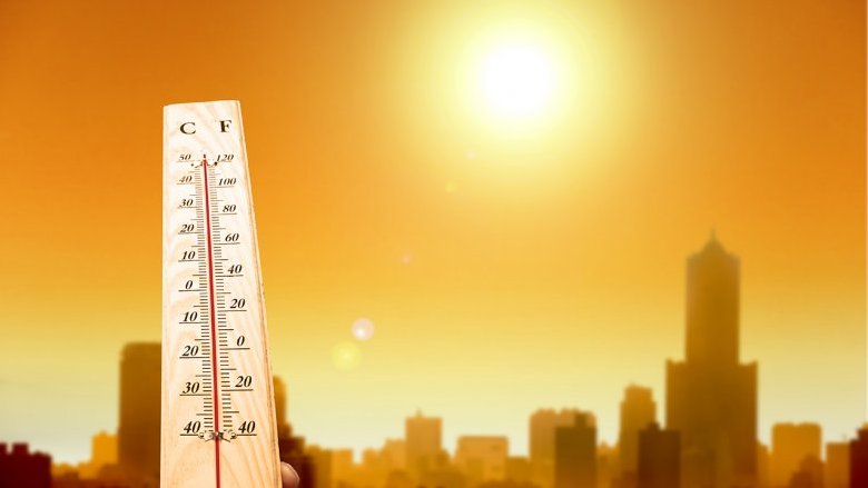 Il colpo di calore di Bonelli, prova tangibile del cambiamento climatico