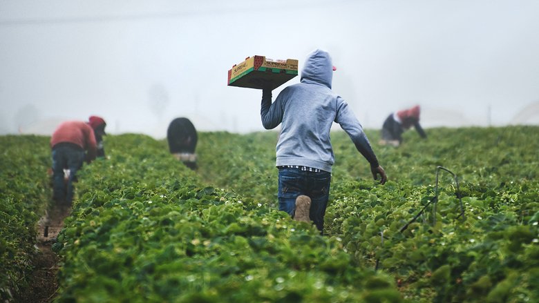 I Paesi con più lavoratori in nero in Europa, la classifica. Italia al 9° posto