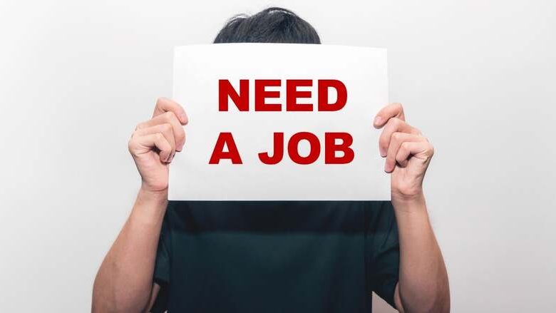 L'AI potrebbe eliminare il 15% dei lavori entry-level entro il 2027. Quale impatto sulle azioni tech?