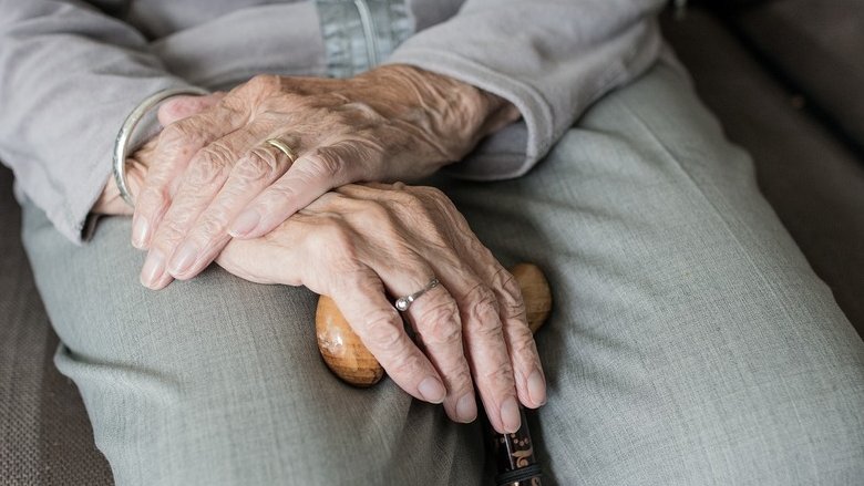 Perché il Giappone è il posto perfetto per invecchiare?