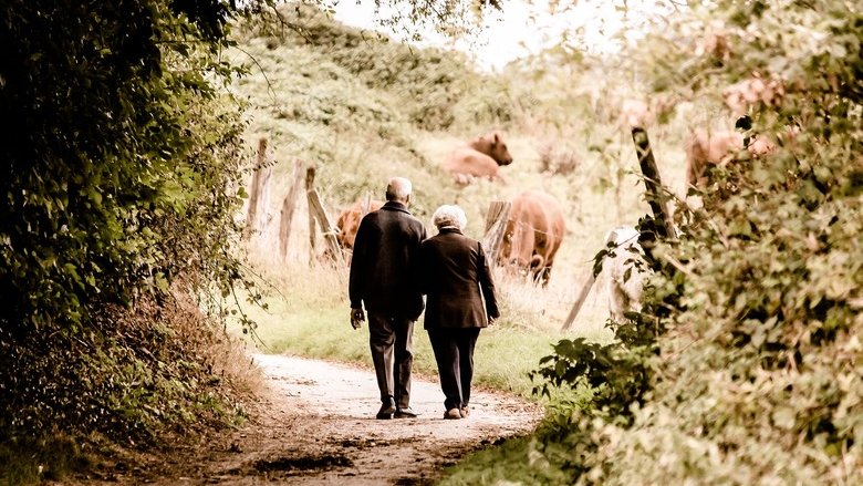 Pensioni: non servono nuove riforme, ma un'accorta manutenzione