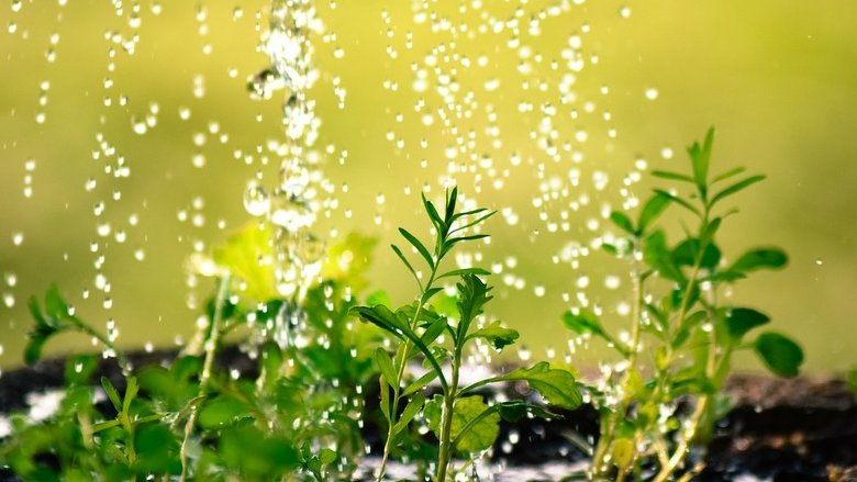 Come funzionano i nuovi certificati di decarbonizzazione?