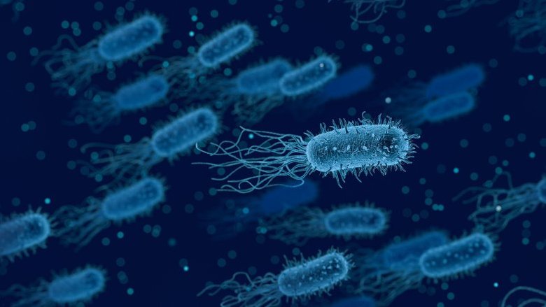 L'assicurazione sanitaria migliora davvero la salute? 
