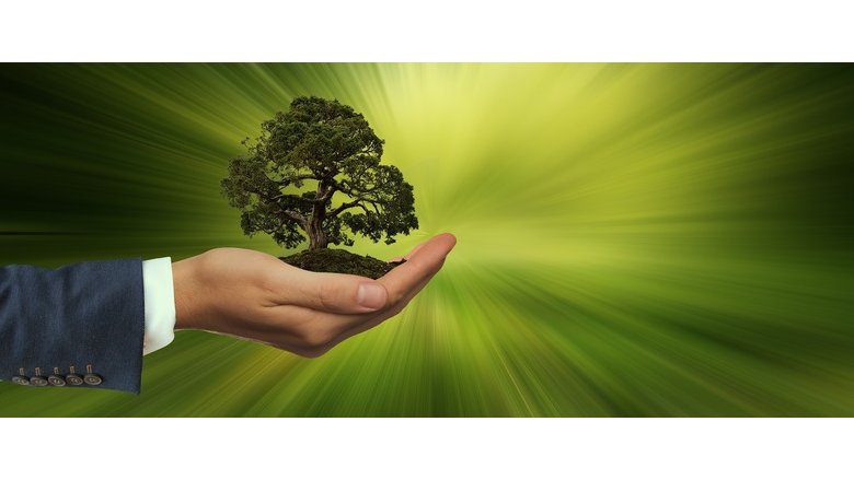 Sostenibilità, perché i fondi ESG piacciono così tanto ai più ricchi del mondo?