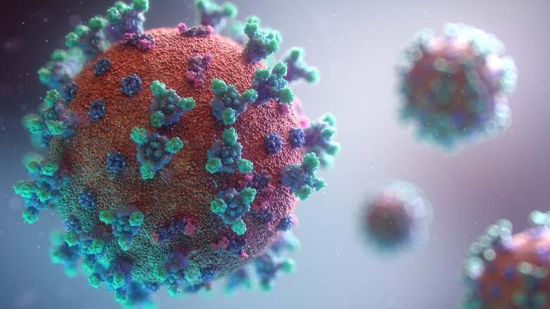 Hantavirus: il costo dell'incertezza. Quali potrebbero essere gli impatti di questo focolaio sull'economia mondiale?