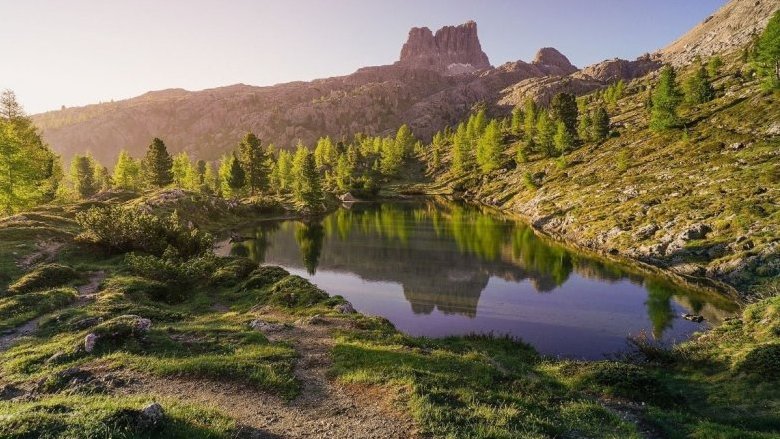 Tre miliardi di danni non bastano. Il post-Vaia è una crisi ancora aperta