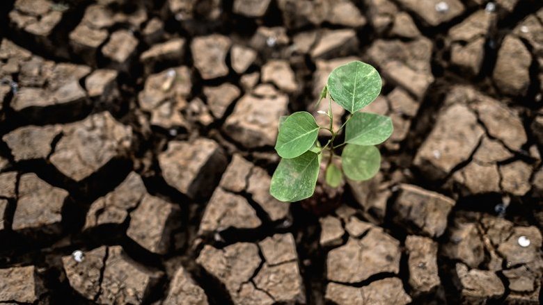 Climatologo confessa: "ecco cosa devo fare per essere pubblicato"