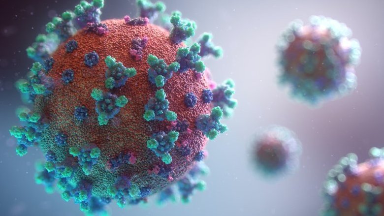 Hantavirus: il costo dell'incertezza. Quali potrebbero essere gli impatti di questo focolaio sull'economia mondiale?